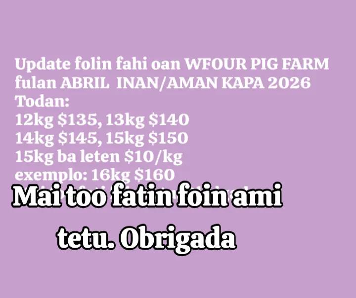 @W4 Pig Farm