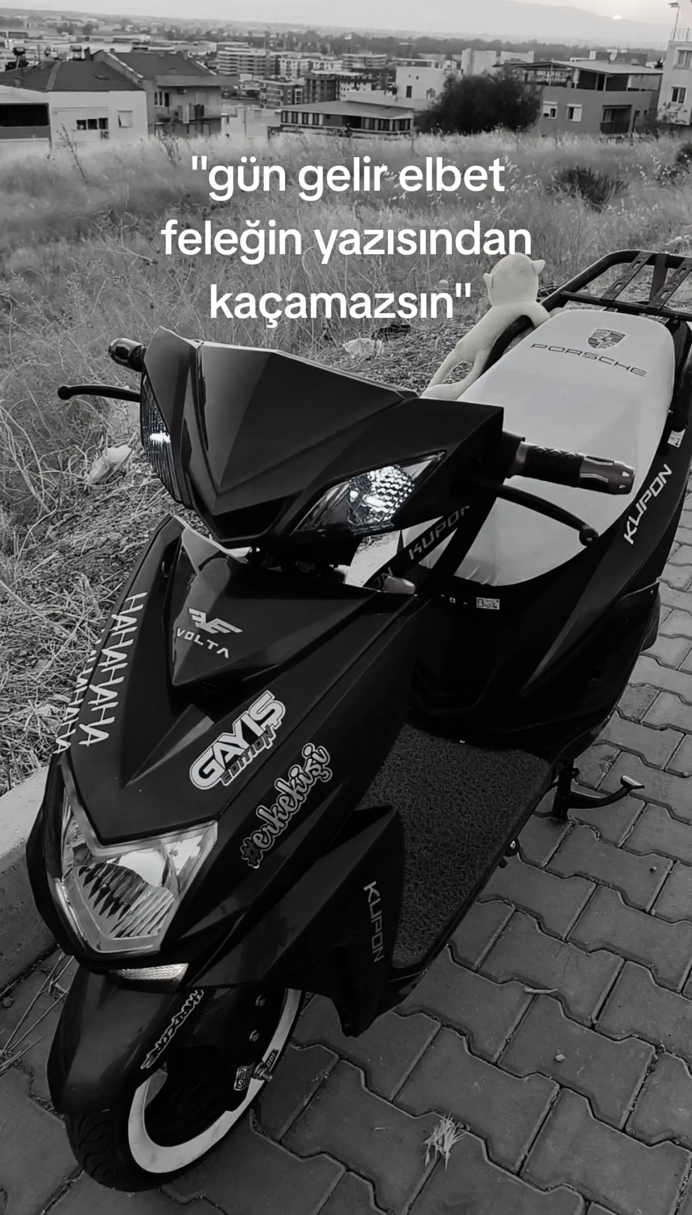 @selim sarıyiğit
