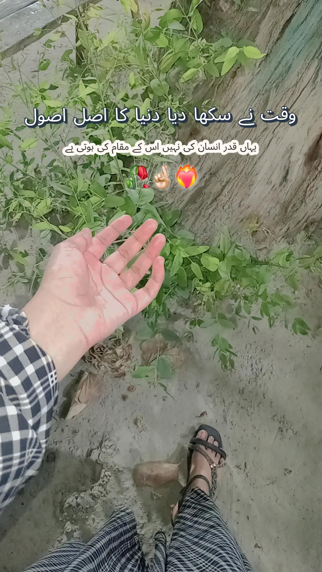 @❤saher_writer❤