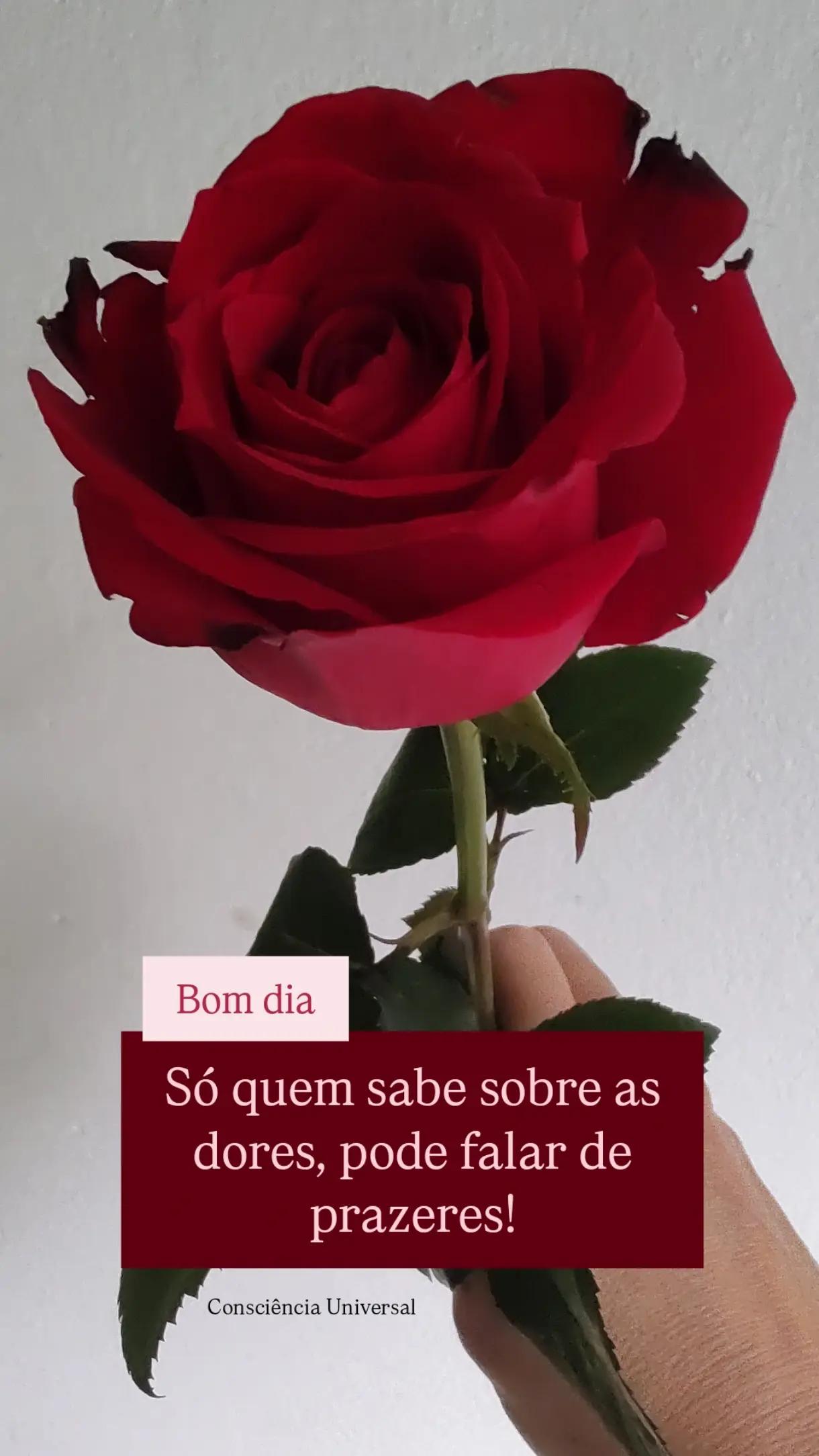 @Consciência Universal