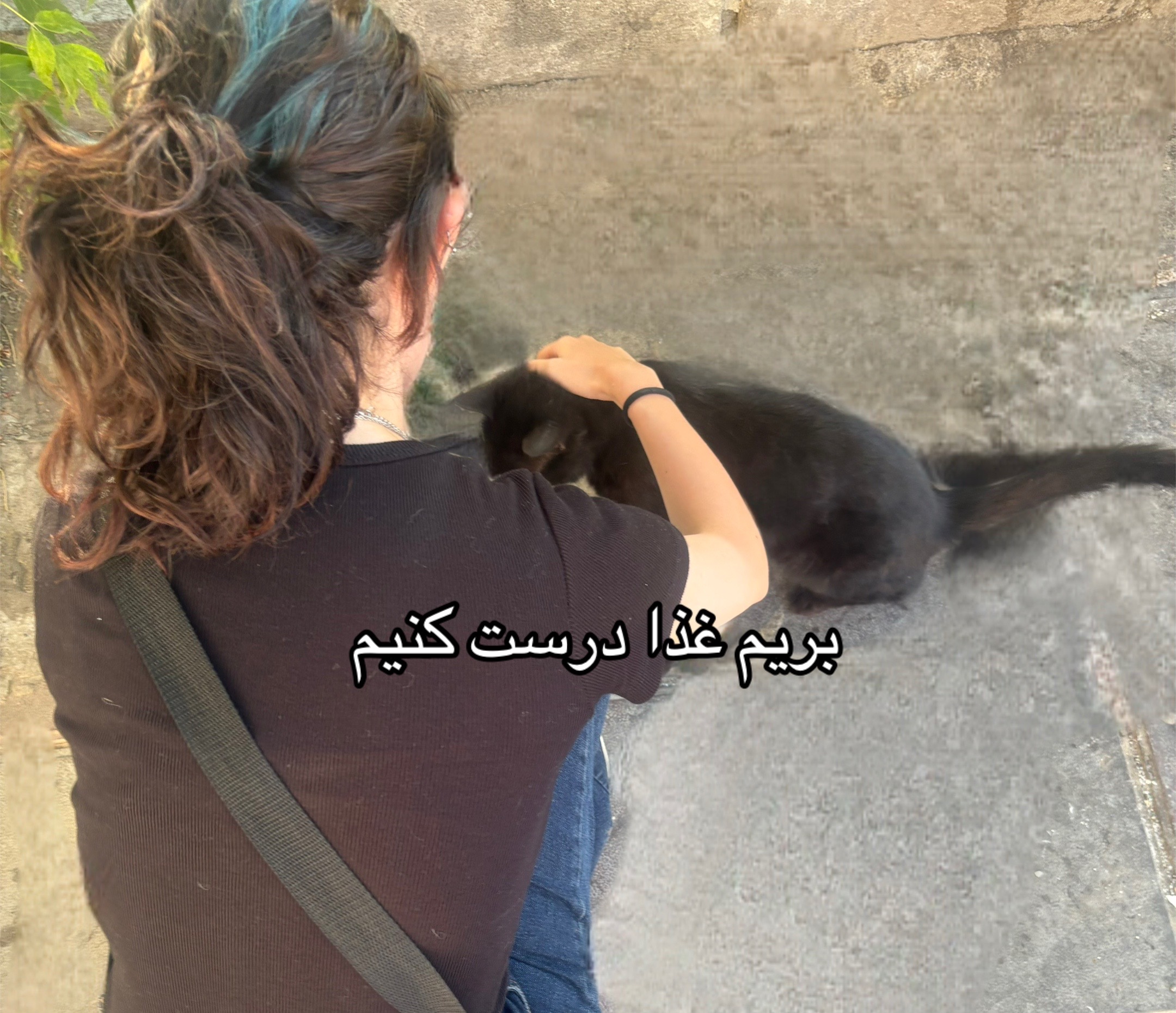 @🐈⬛