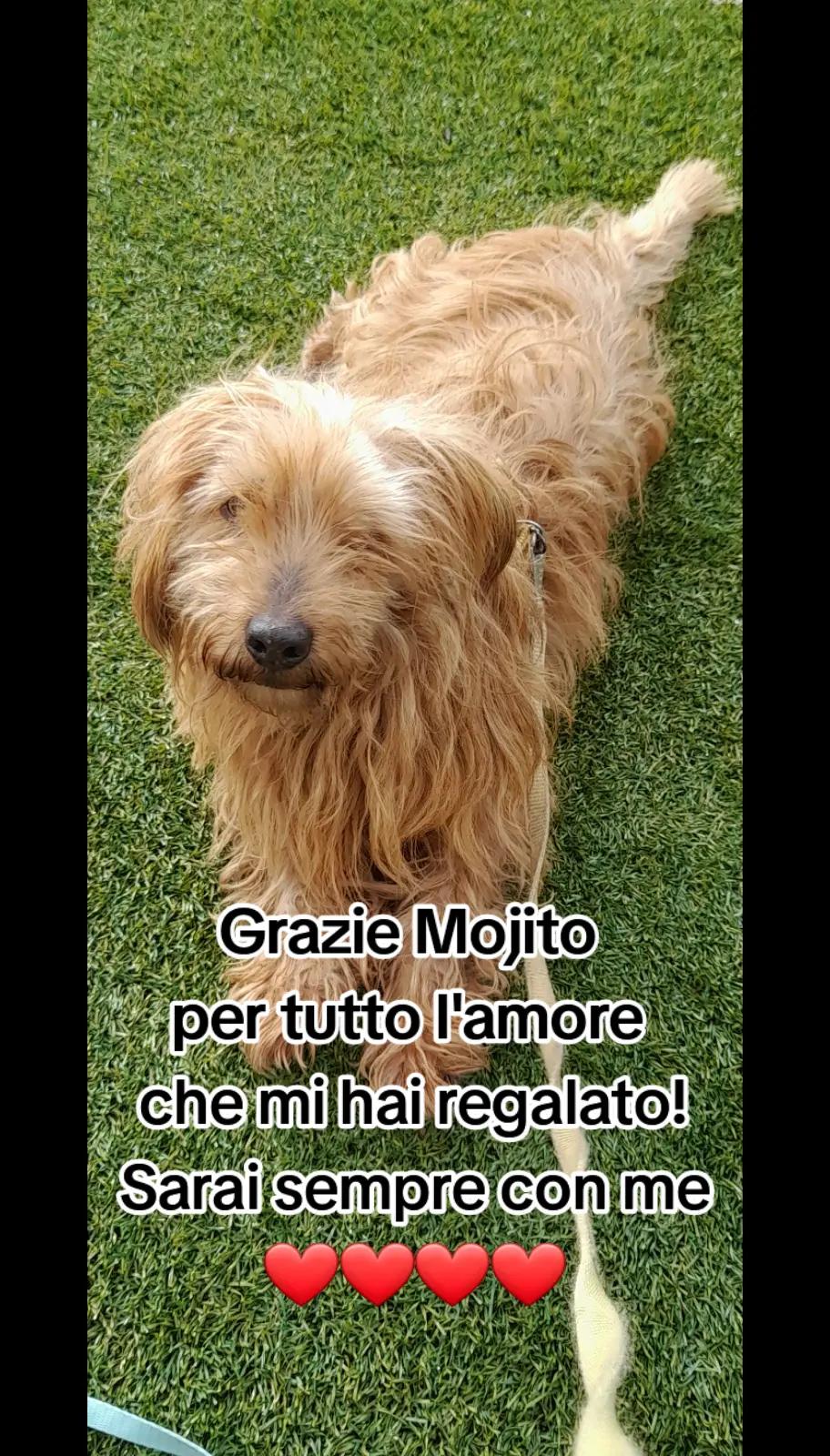 @Riccardo