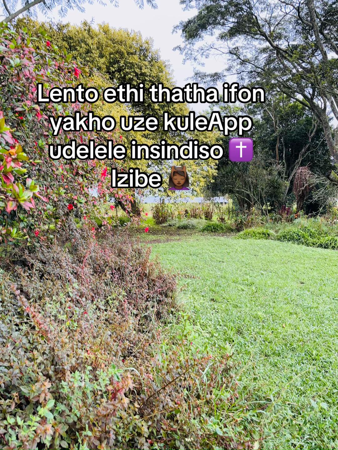 @Xoliswa M Dlangisa