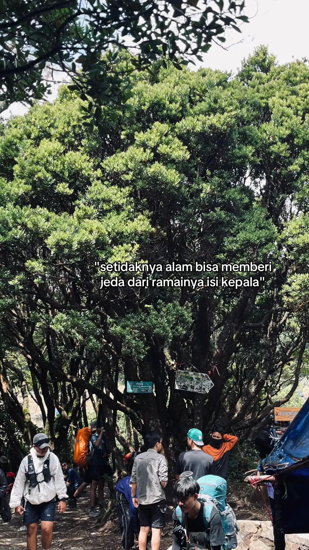 @Navis Irsyat