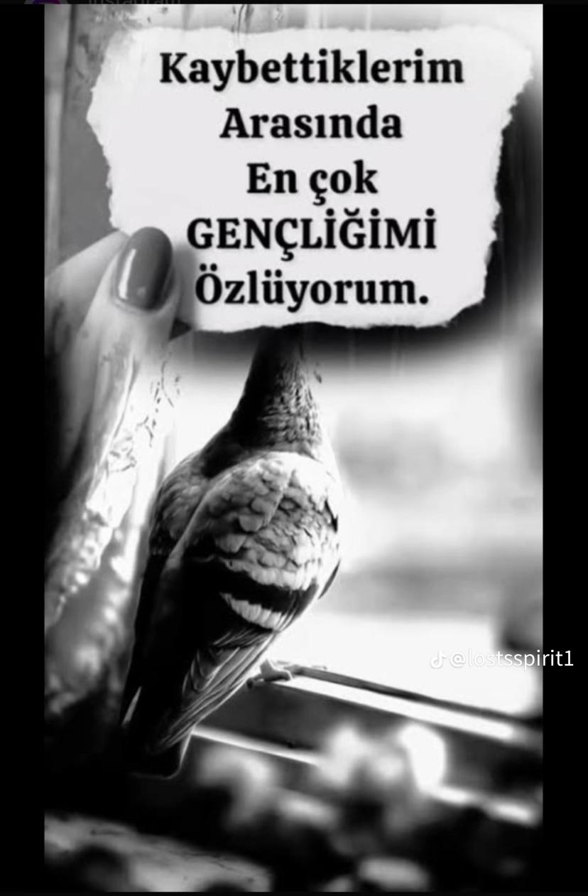 @💥💥KARAKIZ💥💥