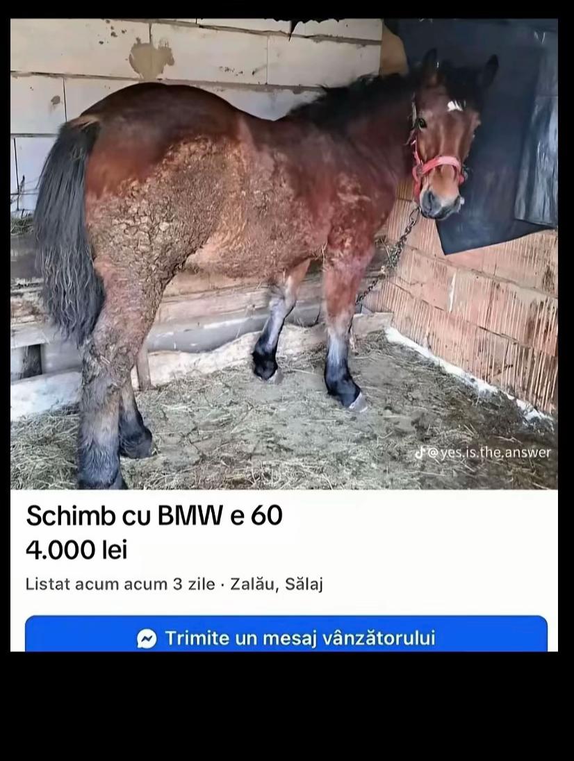 @Crețu_drs_13