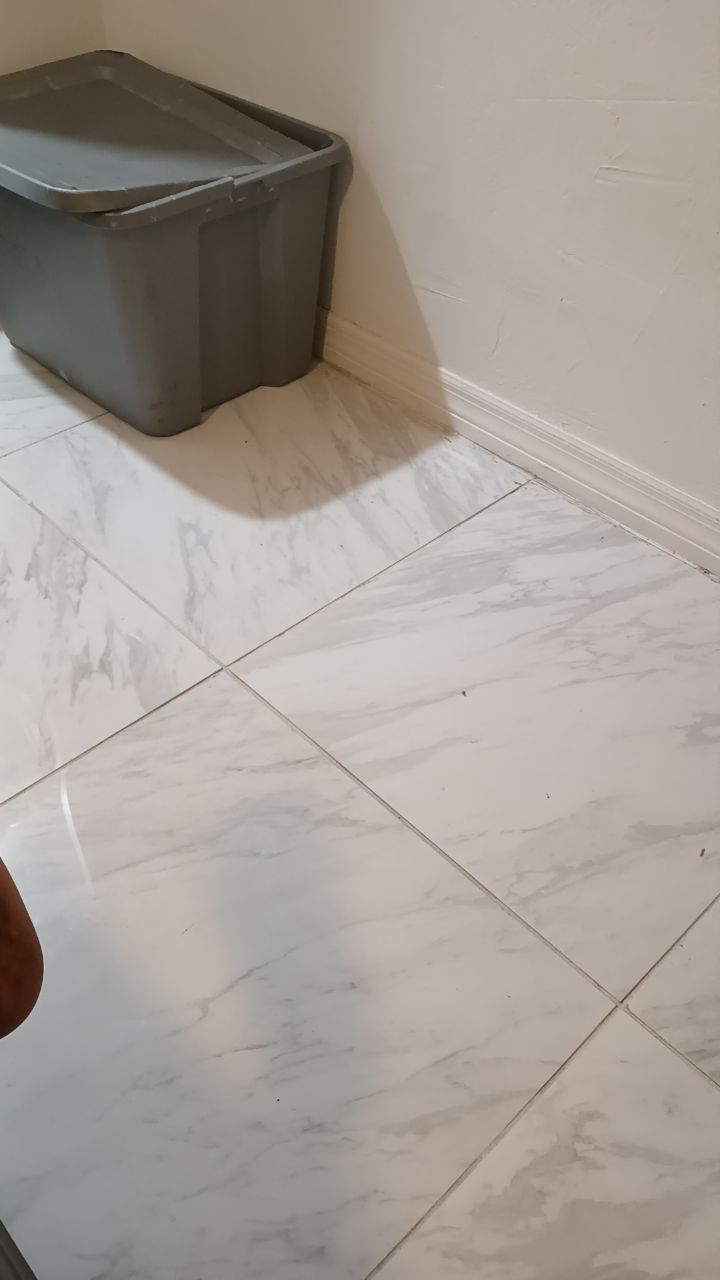 @delismenester3