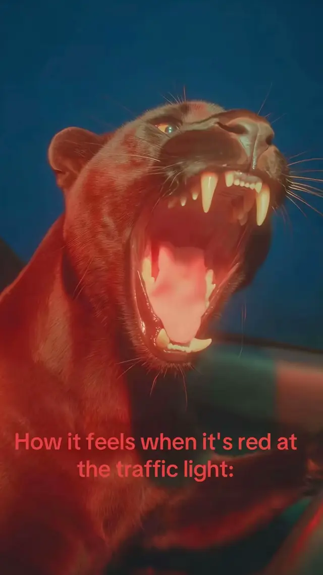 @XH