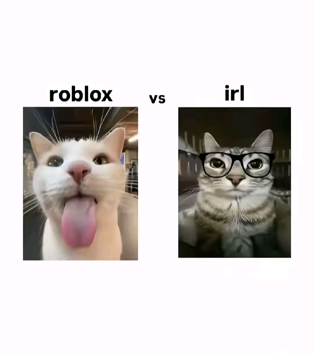 @𝗘𝗩𝗘𝗟𝗨𝗫𝗘 || 𝗢𝗣𝗠𝗘𝗠