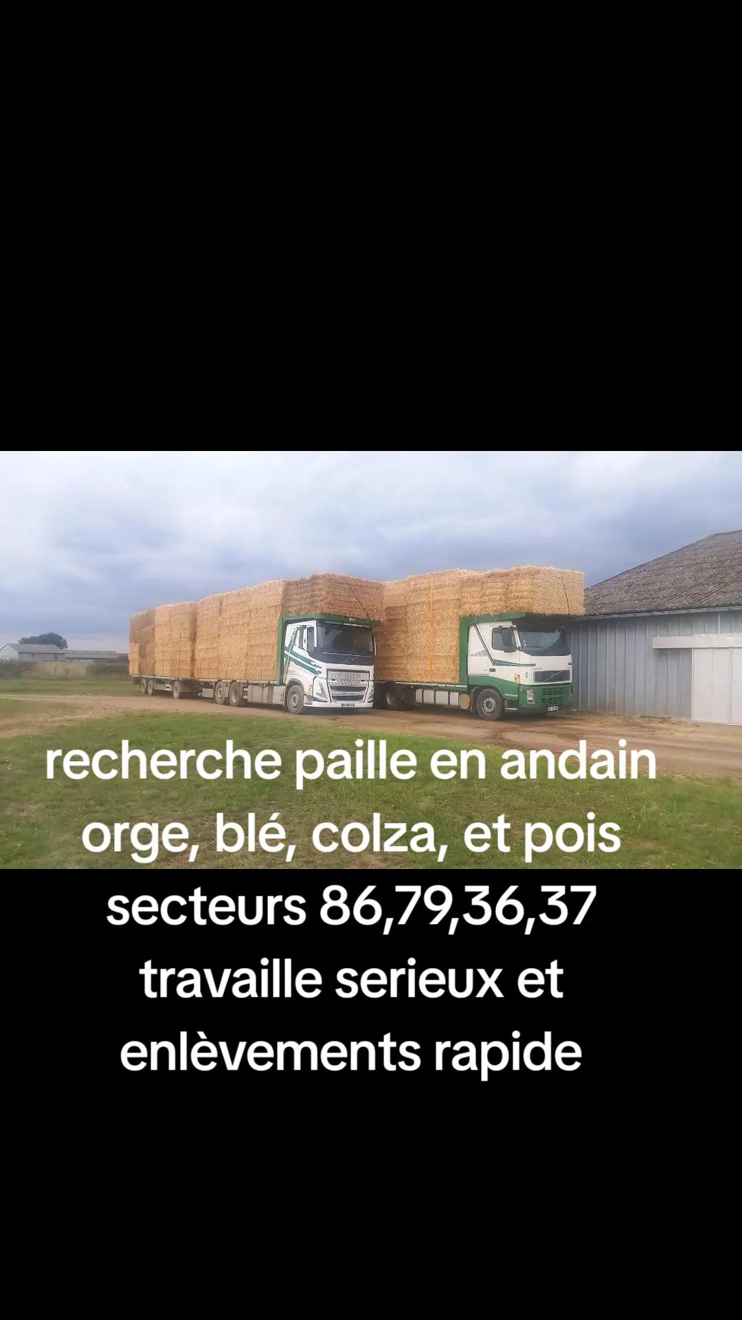@jrmemarmain