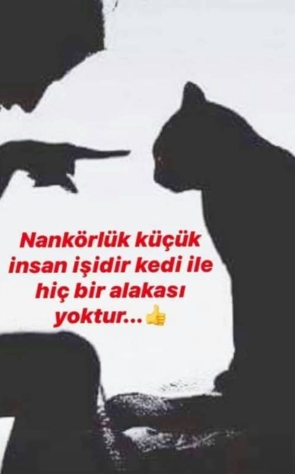 @mecnun