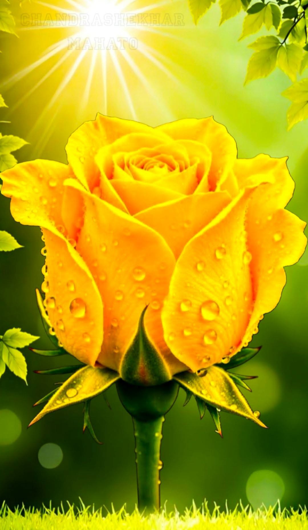 @Nasreen Akhtar Azeemi