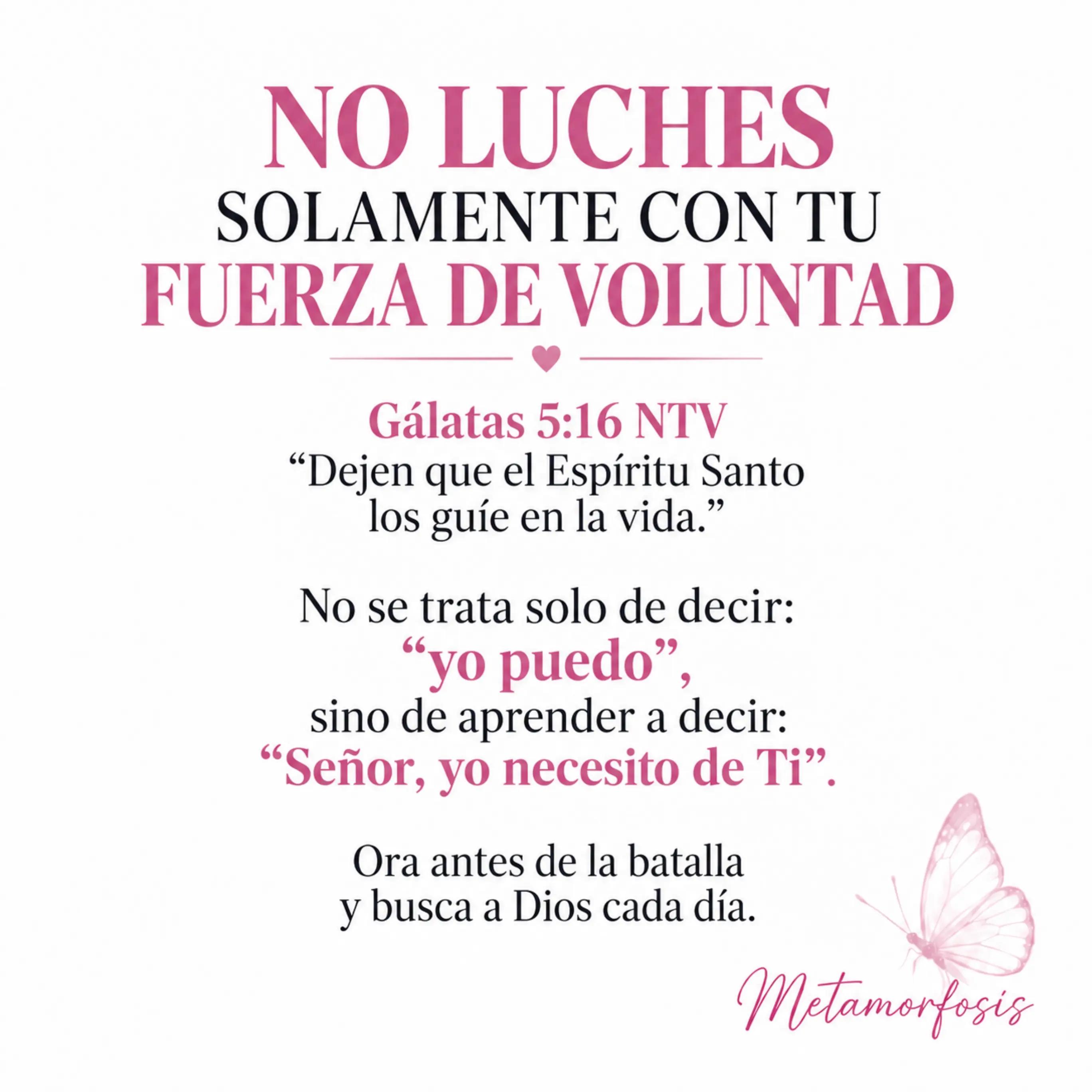 @🇨🇷Nancy Jim&eacute;nez🇨🇷
