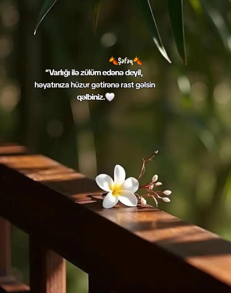 @🍂ŞƏFƏQ🍂