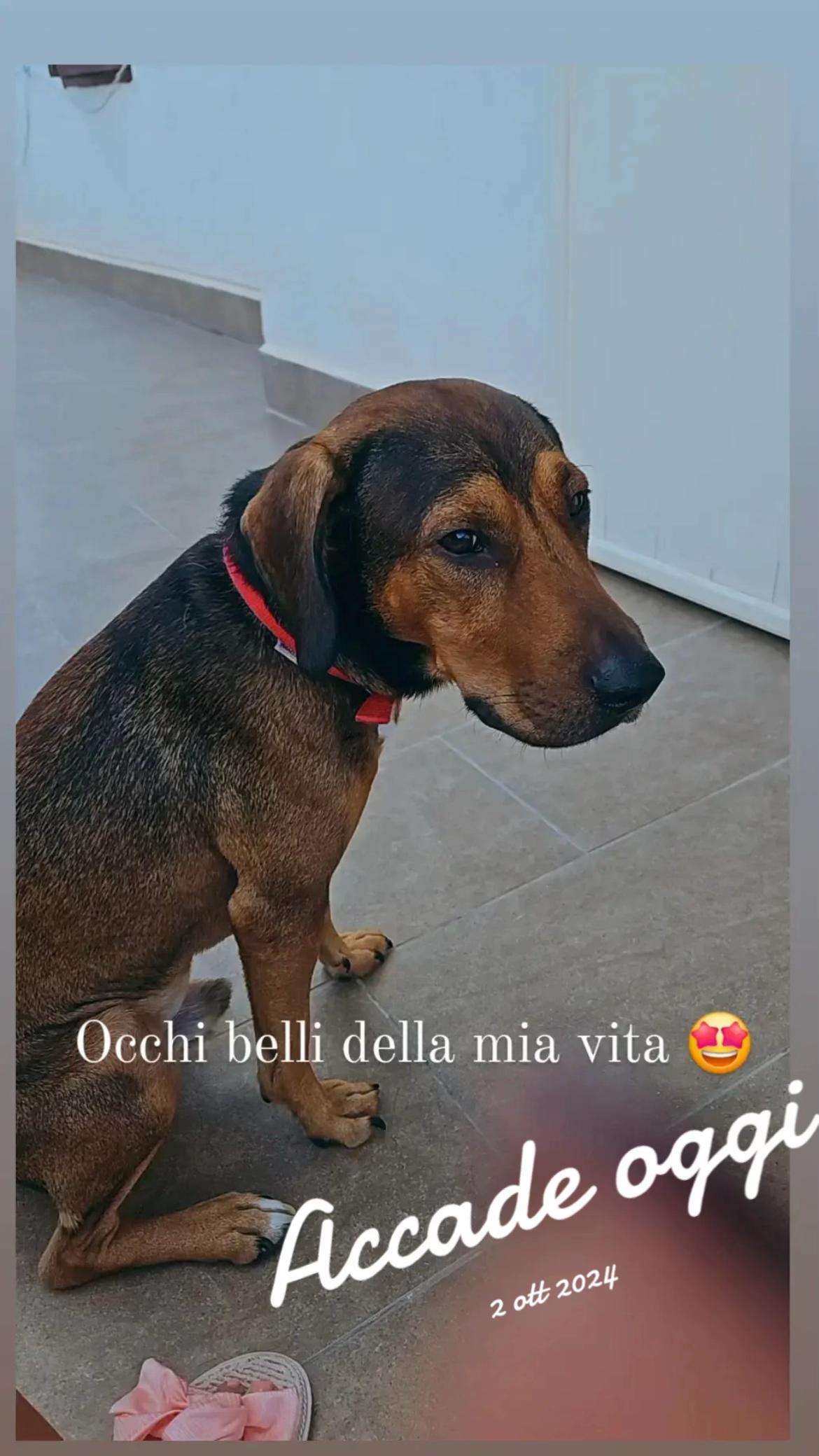 @Lucia Concy Catanese