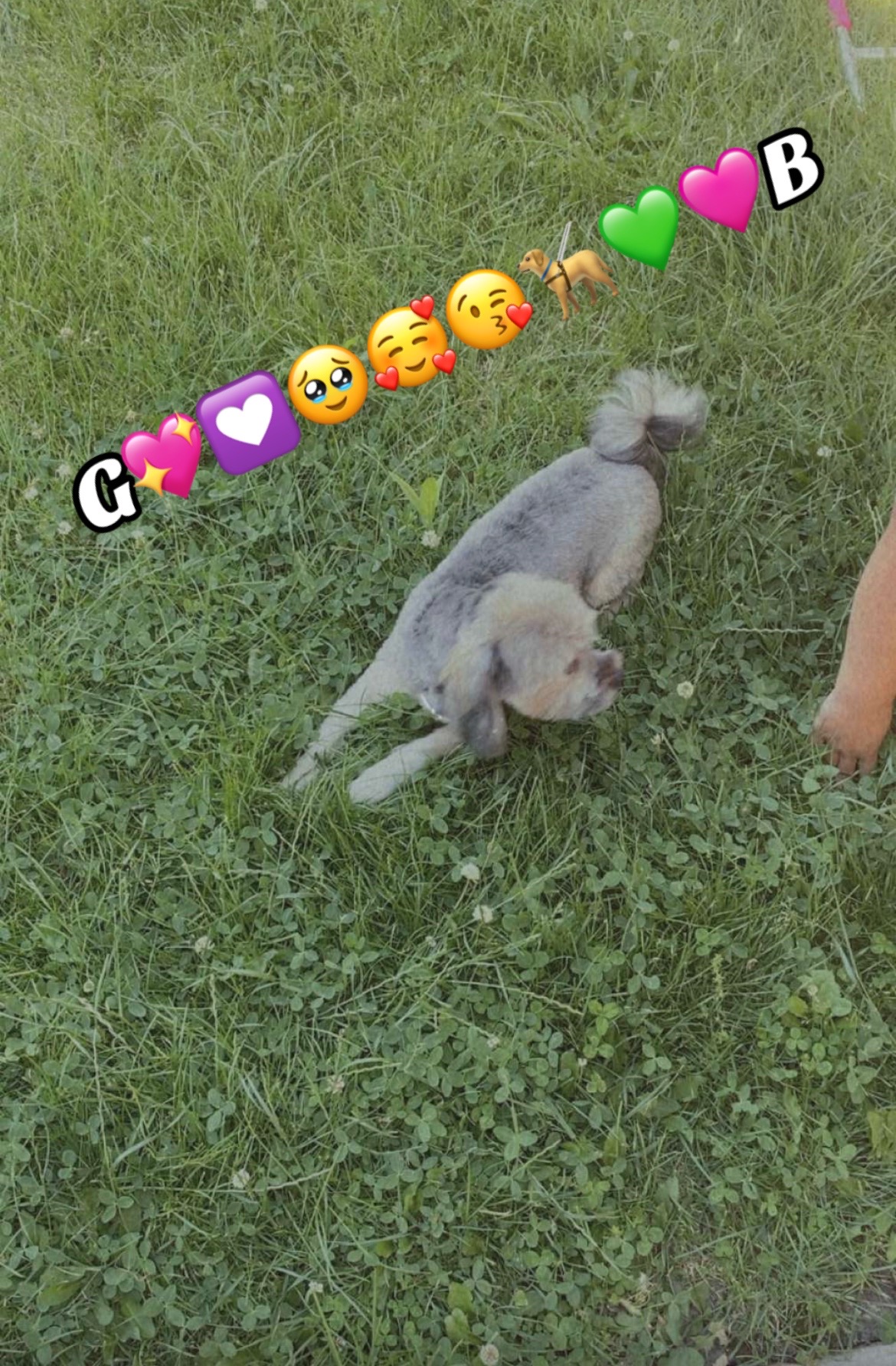 @ð©µGael21ðð«ðððð°ðBrenda21