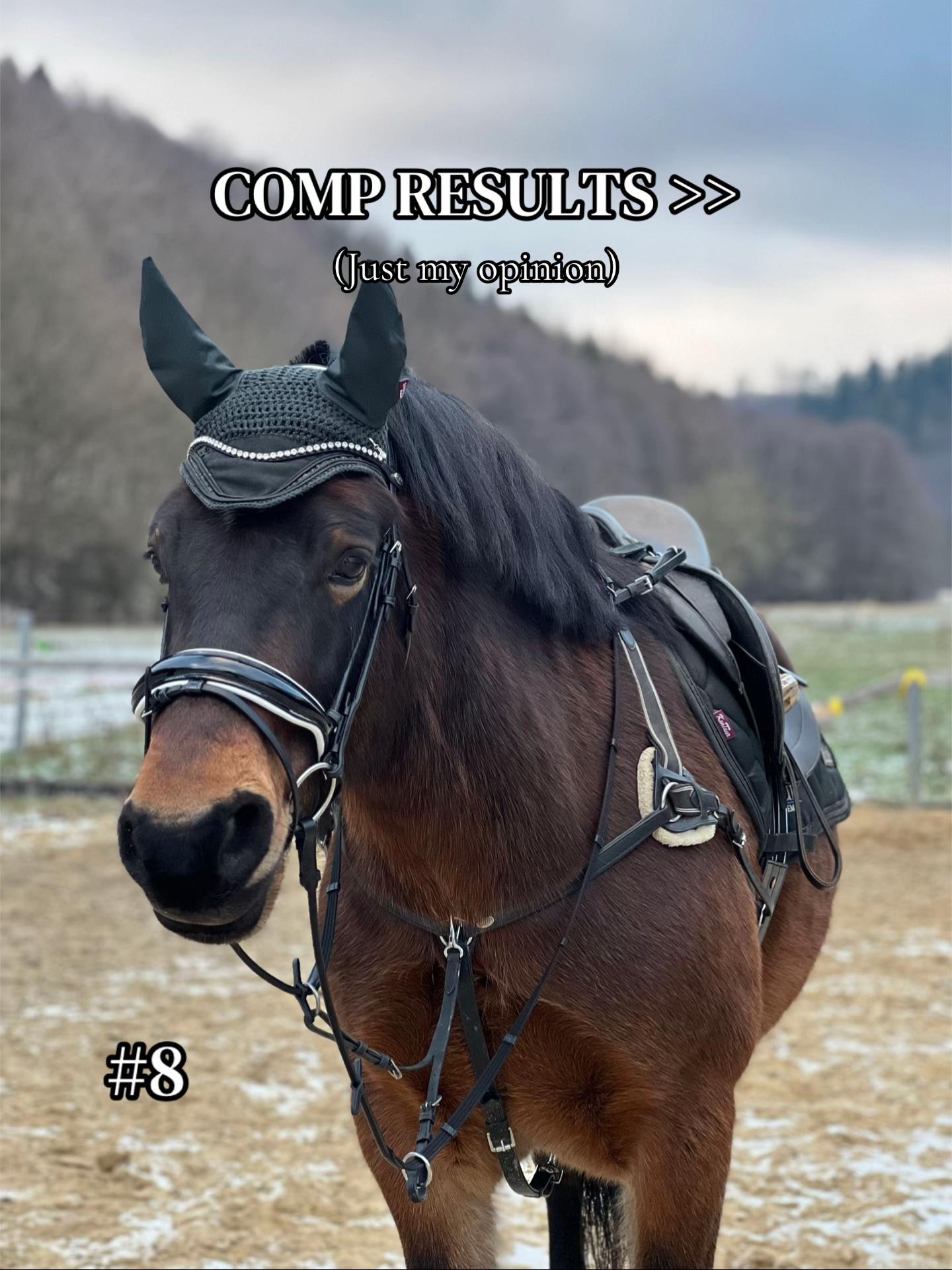 @equestrian._comps