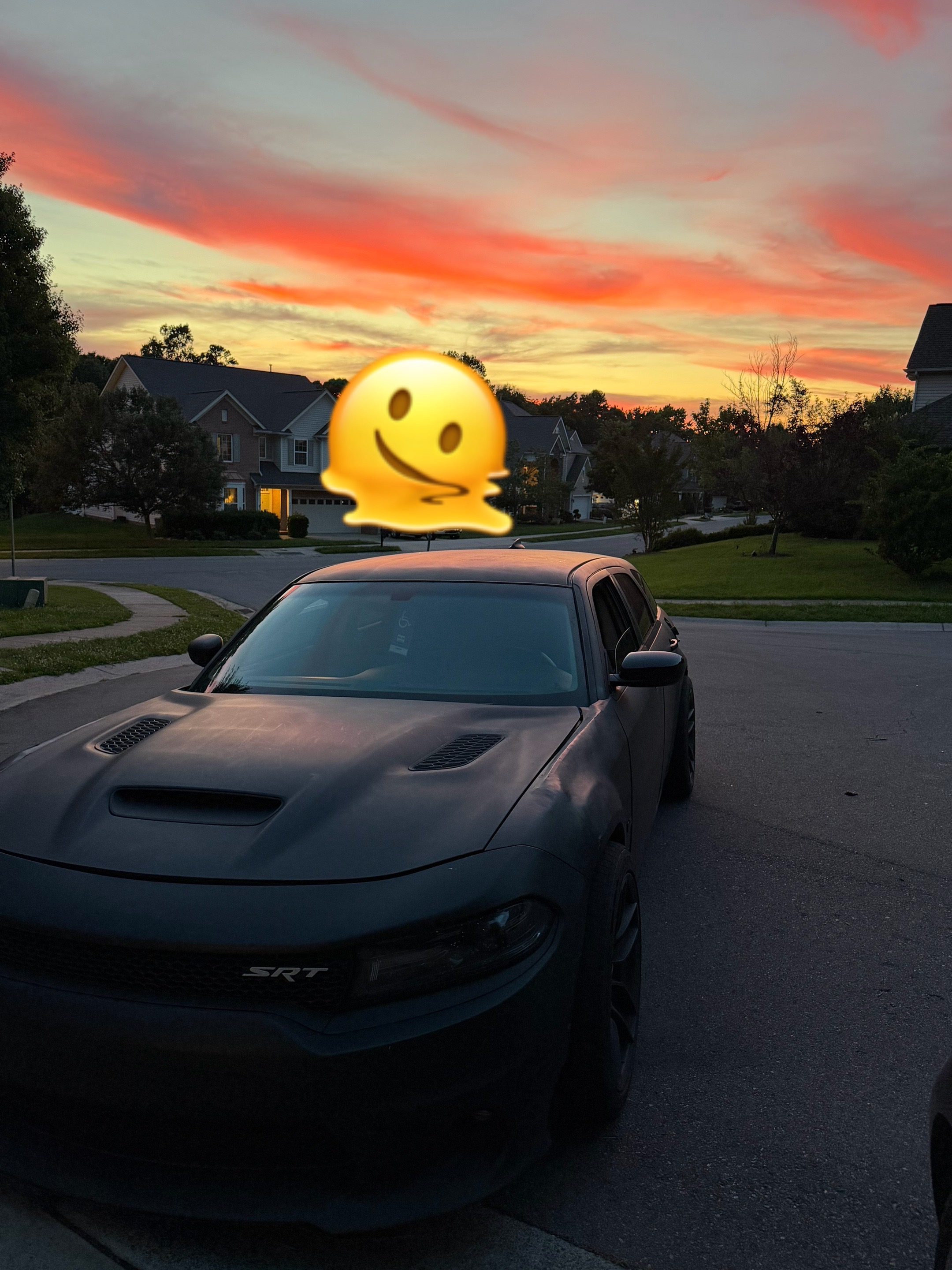 @392 milly