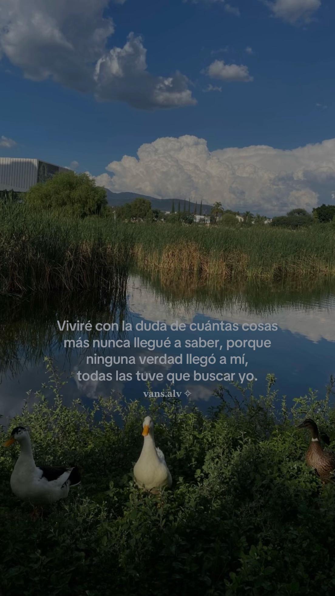 @ᴀʟᴠ