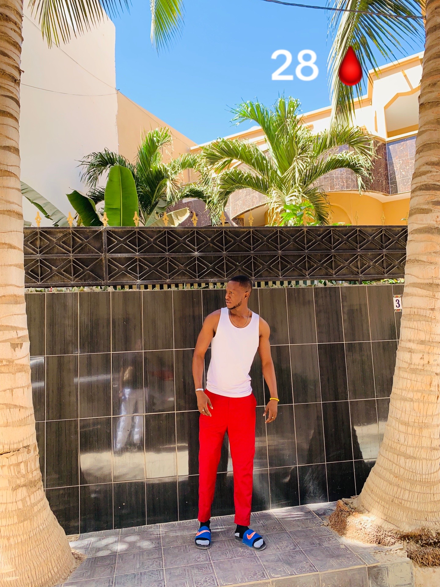 @LIKHA international 🇸🇳🇨🇦