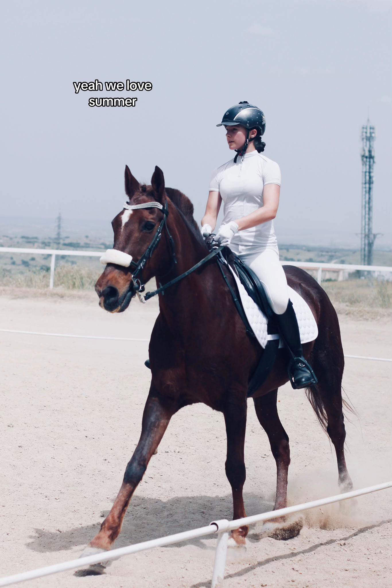 @DiarioOcultoLasPalomas✨