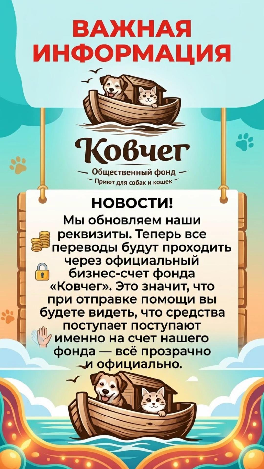 @Приют Ковчег Кыргызстан