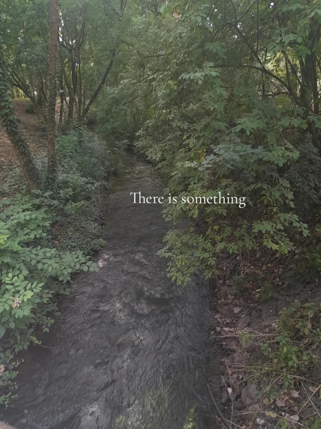 @𝓐𝓷𝓷𝓪
