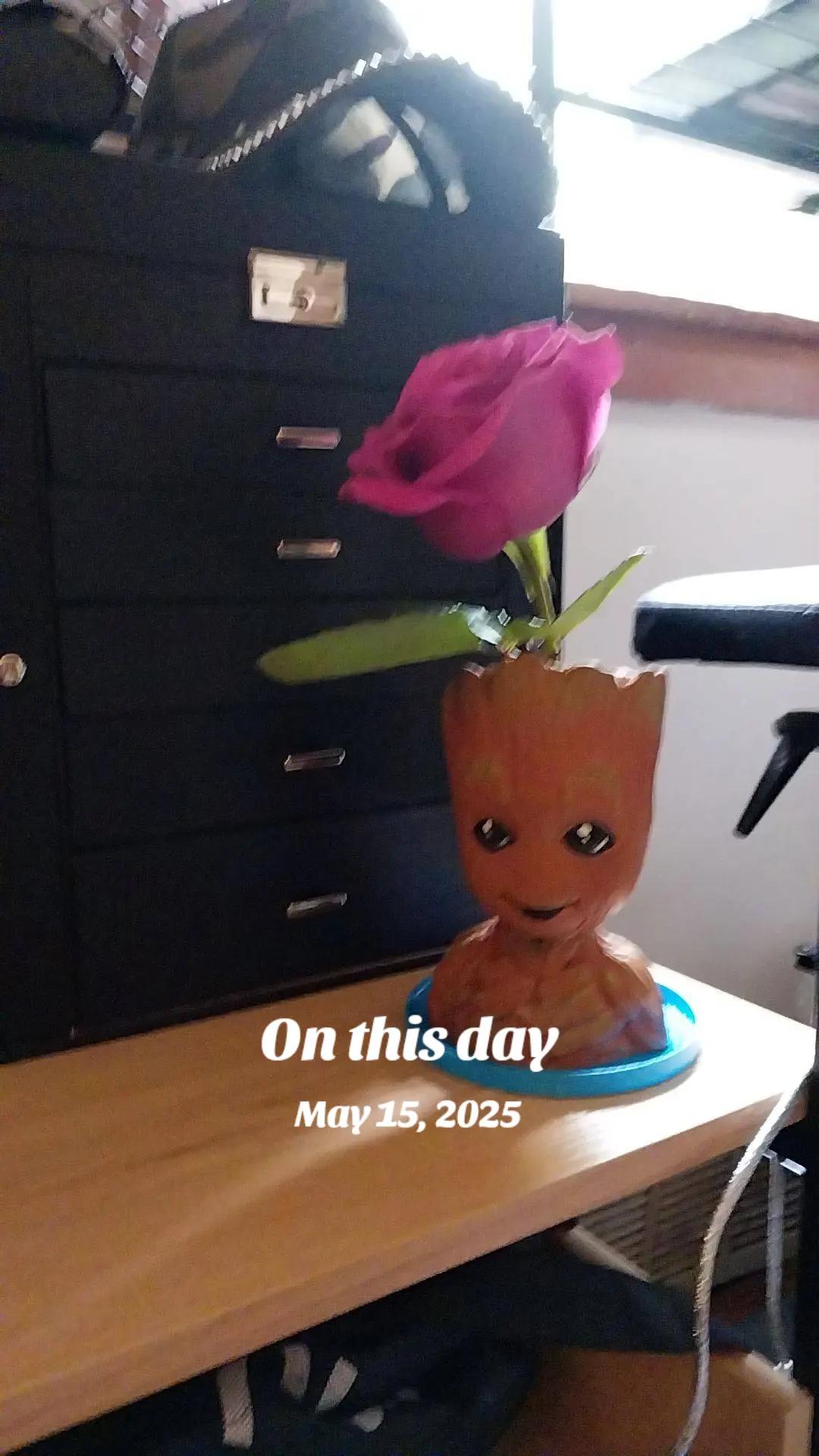 @robinsworld