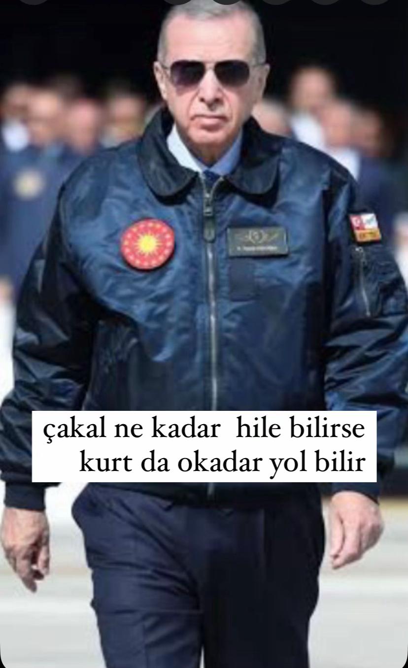 @bd