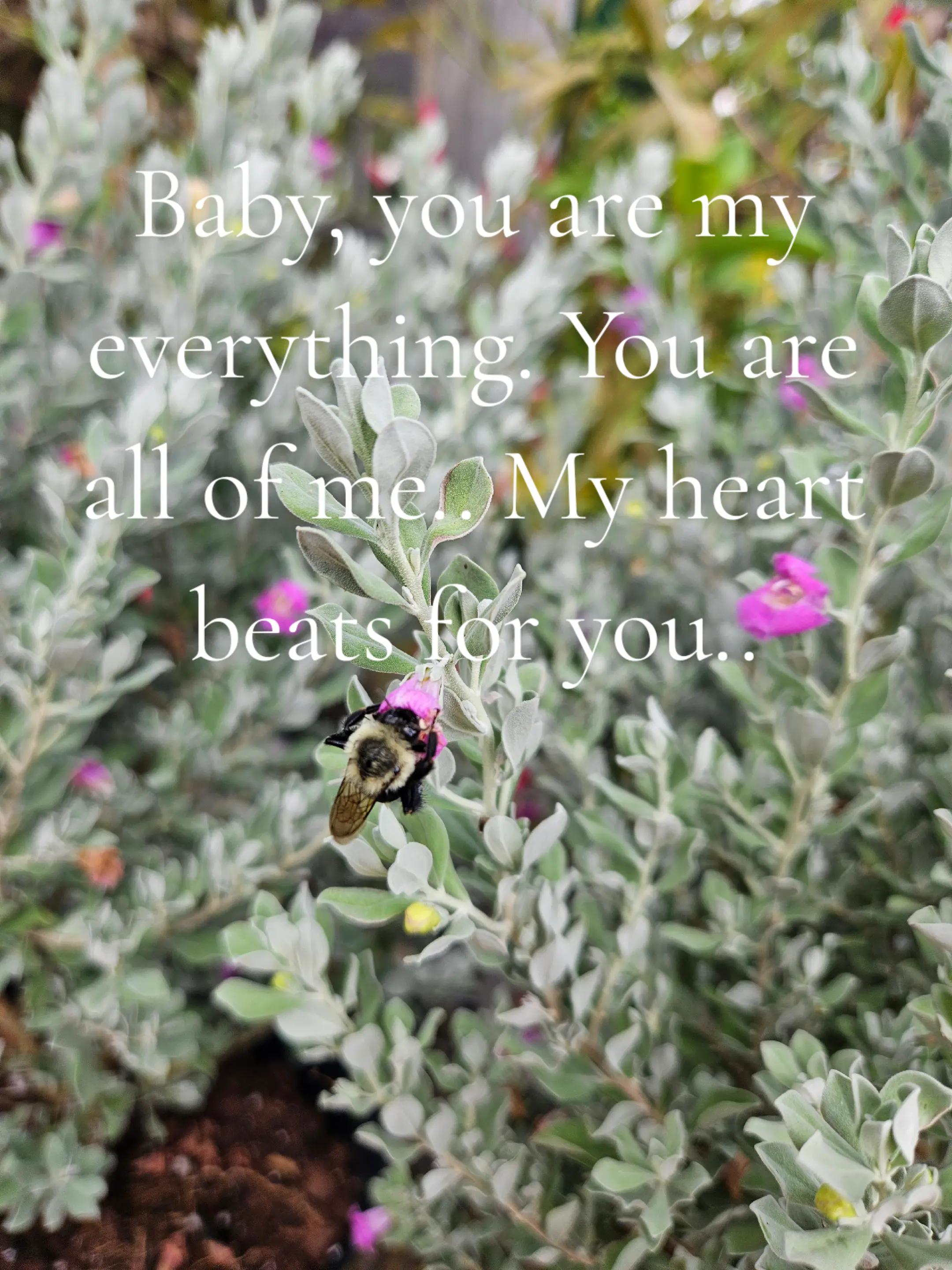 @I am hers 💙❤️