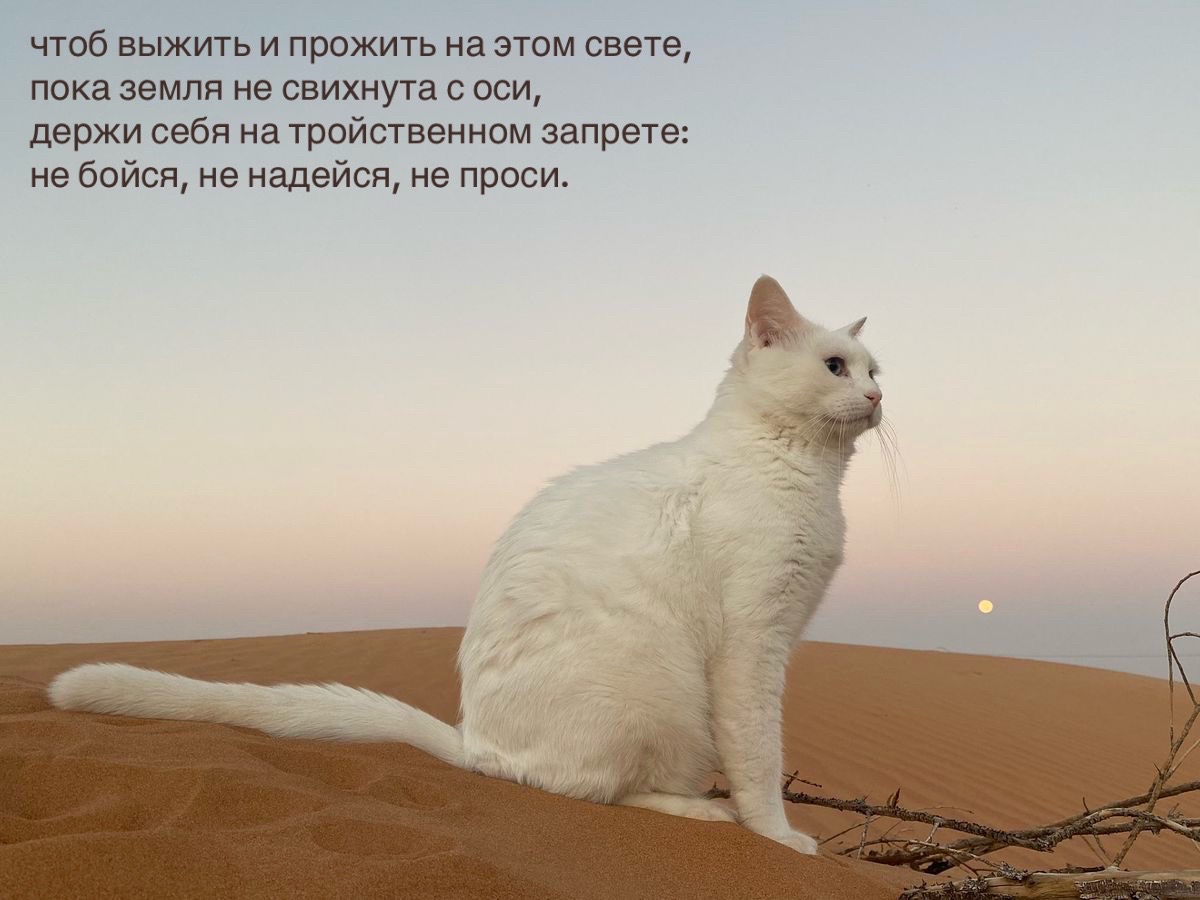 @𝗉𝖺𝗋𝖺𝗇𝗈𝗂𝖽 𝗌𝗁𝖺𝗆𝖾