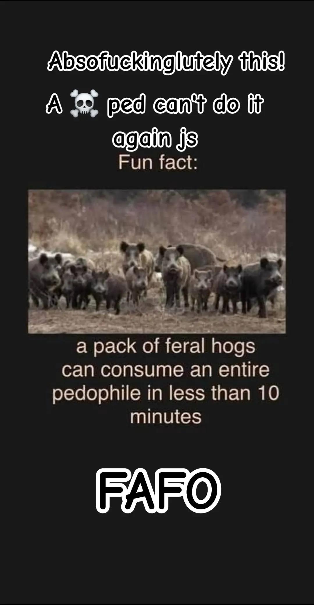 @faforebelbrat