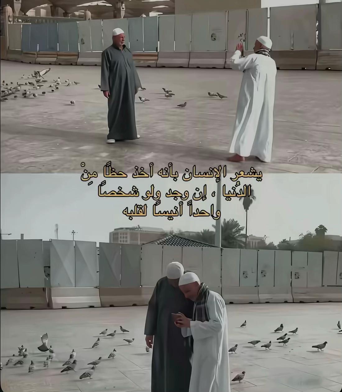 @توليَبه 🌷