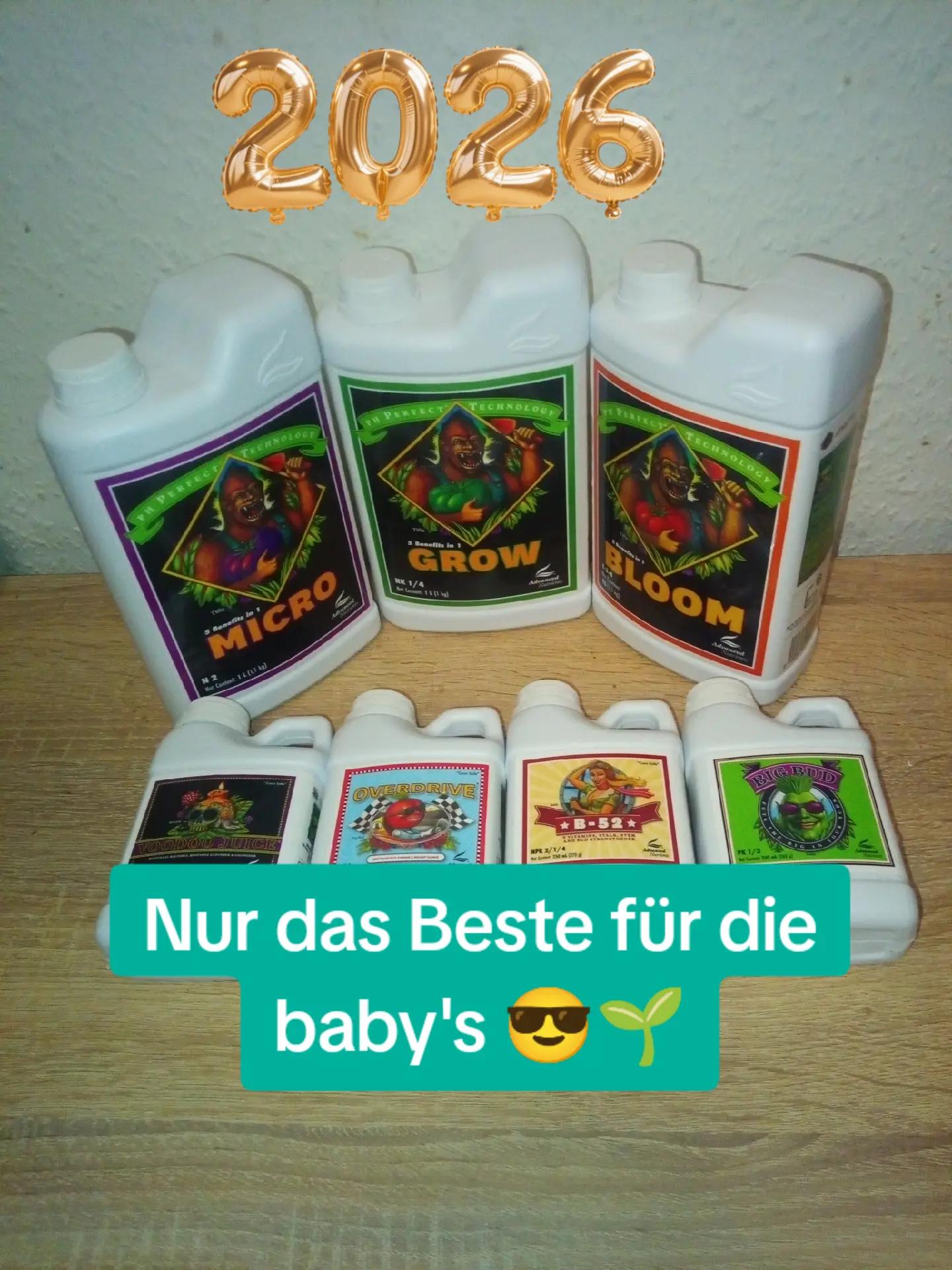 @420_Kaktus.Gurke_69
