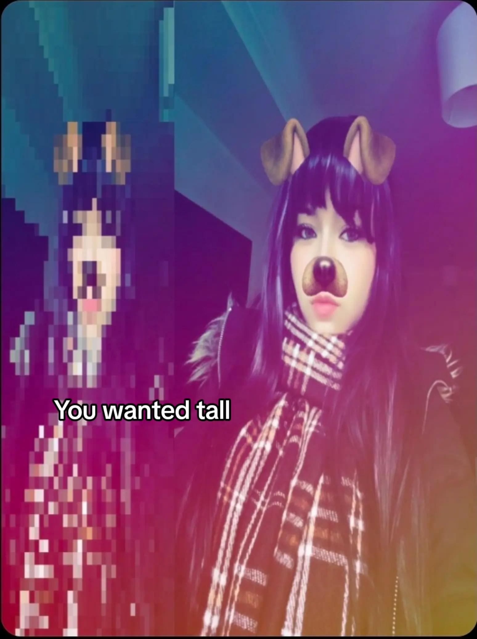 @Jasmine👾🐈⬛