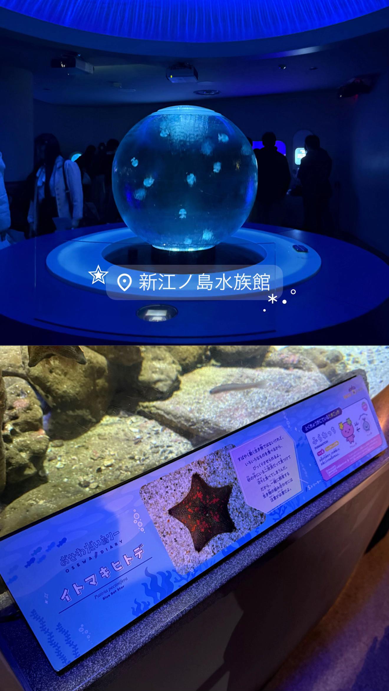 @旅するポンコツ