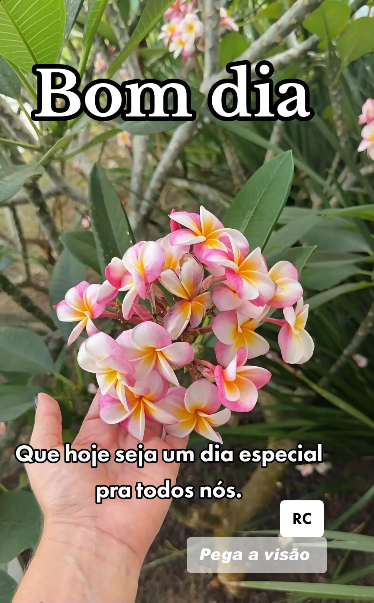 @RoberttoCarllos12