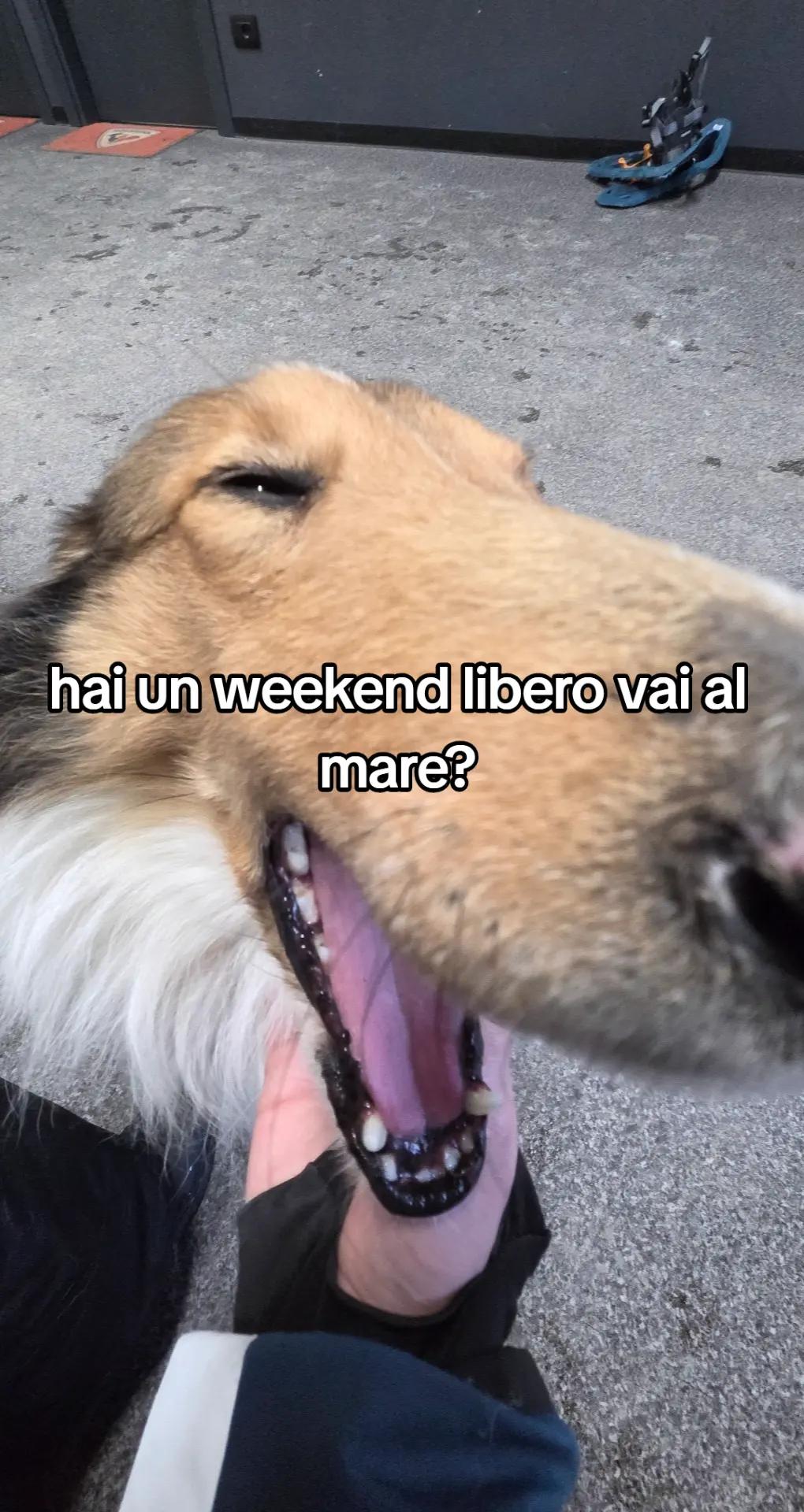 @marta