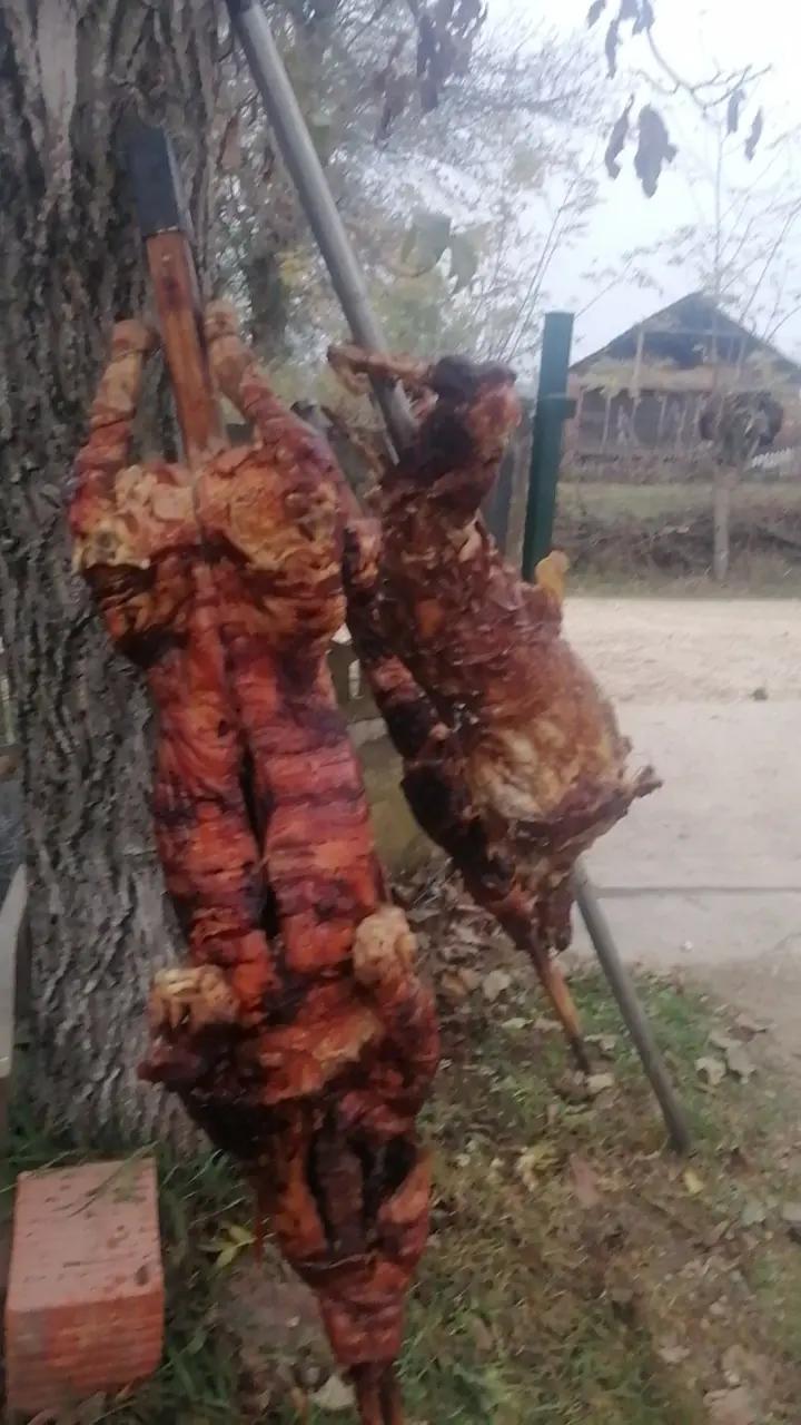 @_ Neskovic _