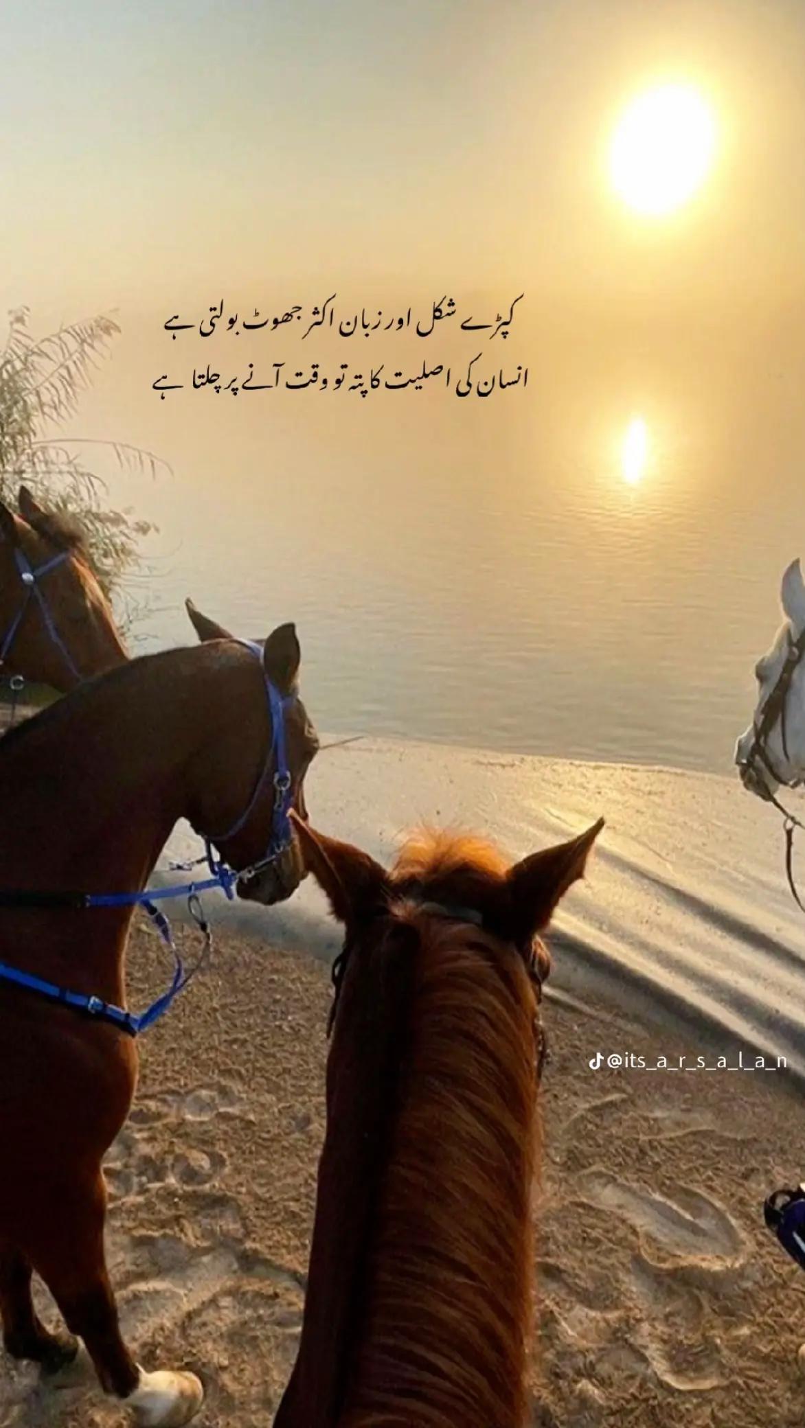 @فاروق عمر