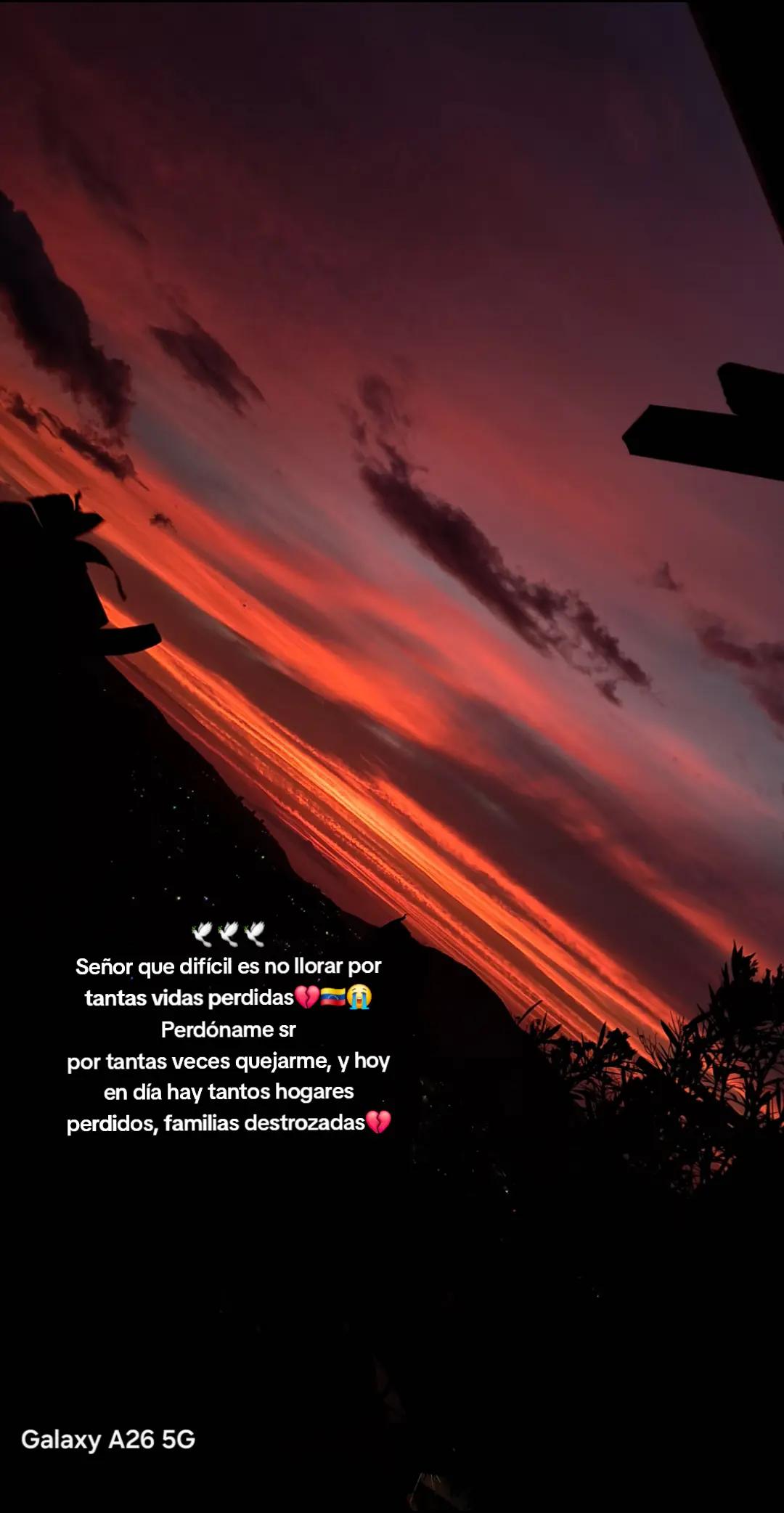 @Ivana Sarmiento
