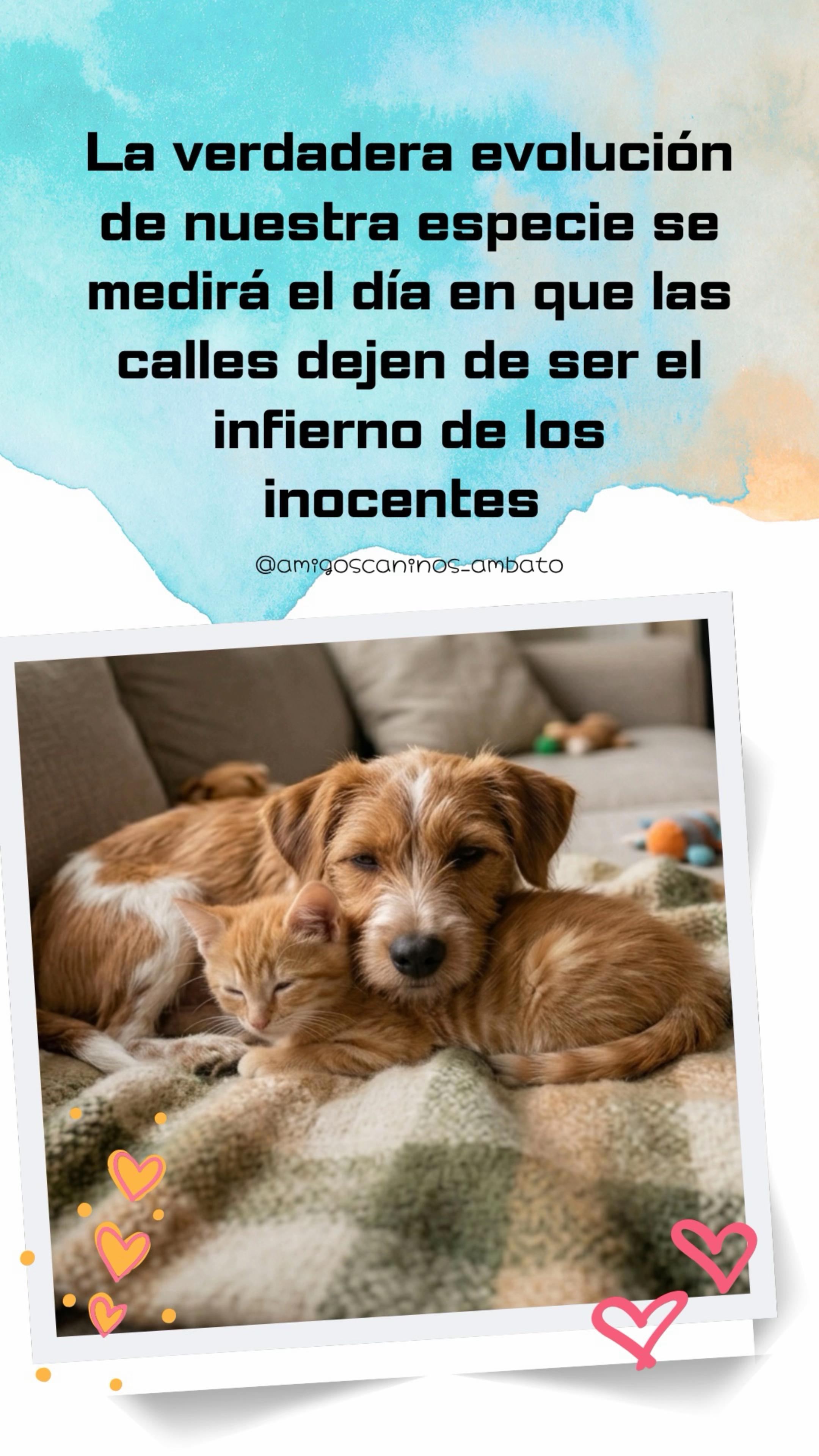 @Amigoscaninos_Ambato