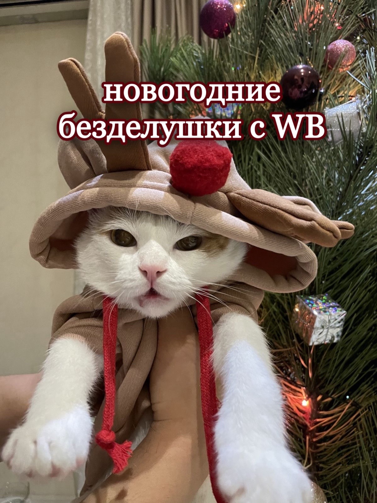 @Luxury wildberries