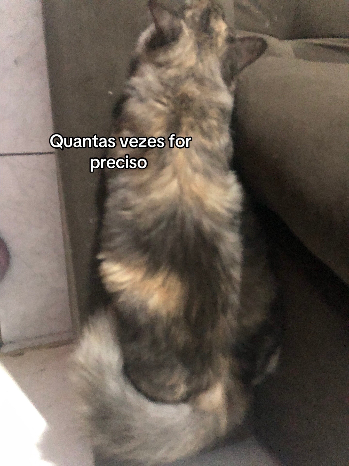 @Pᥱ́r᥆ᥣᥲ ᥱ ᥴᥲ&rho;&iota;tᥲ̃᥆