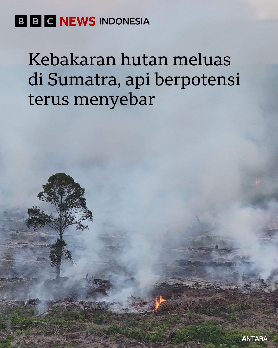 @bbcnewsindonesia