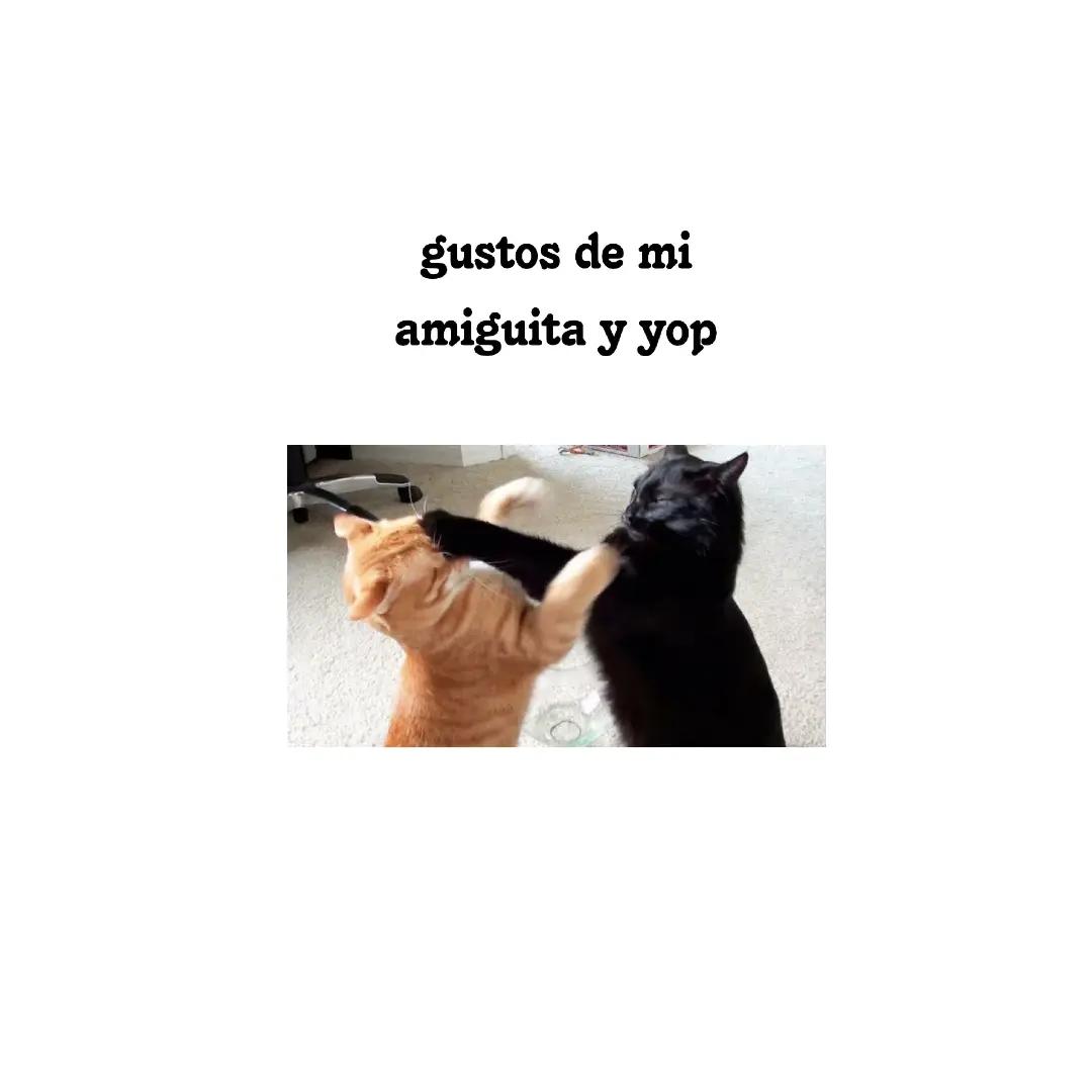 @Ferti 💫💗
