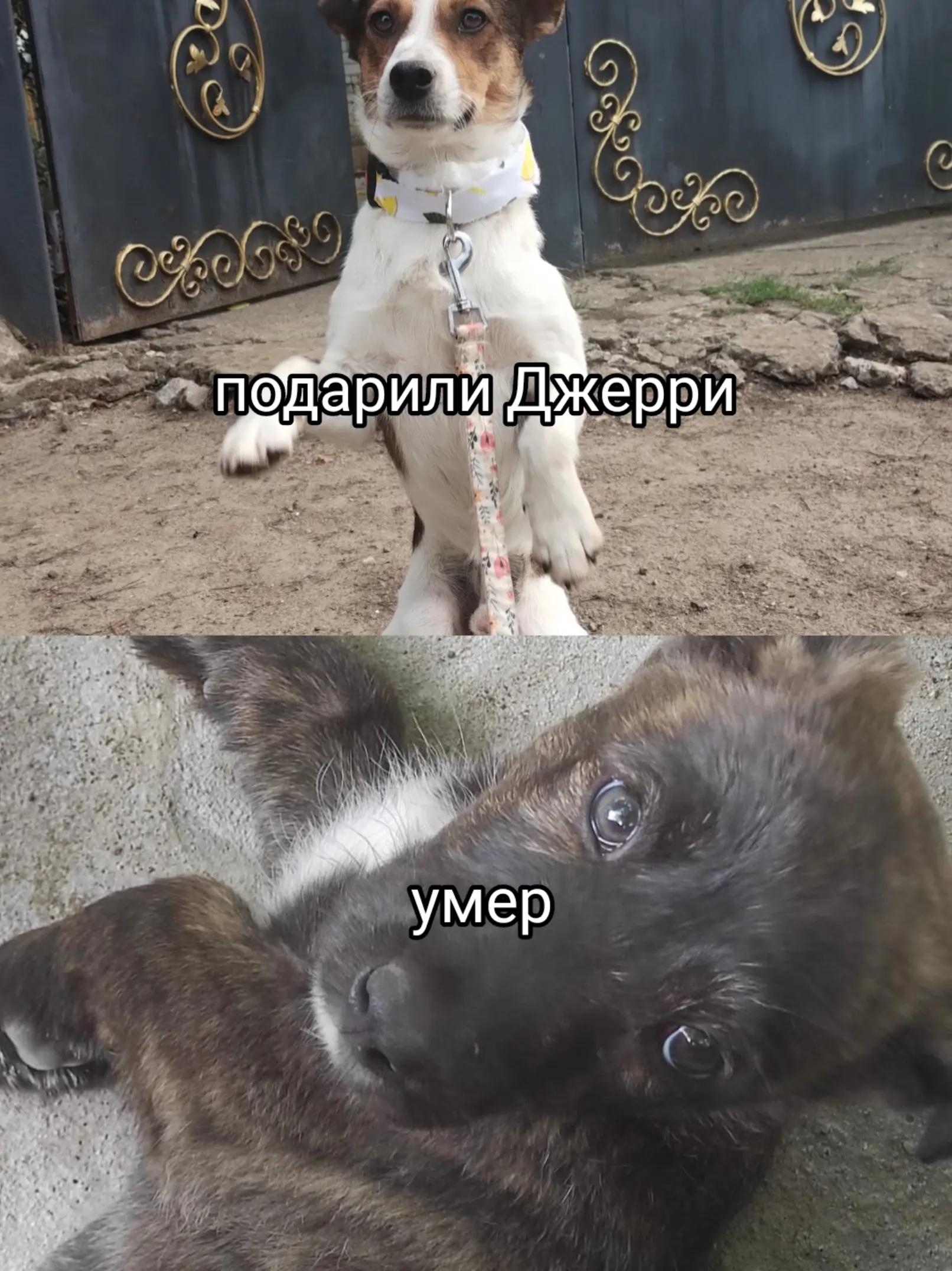 @𝘑𝘦𝘳𝘳𝘺🥏𝘢𝘪𝘳