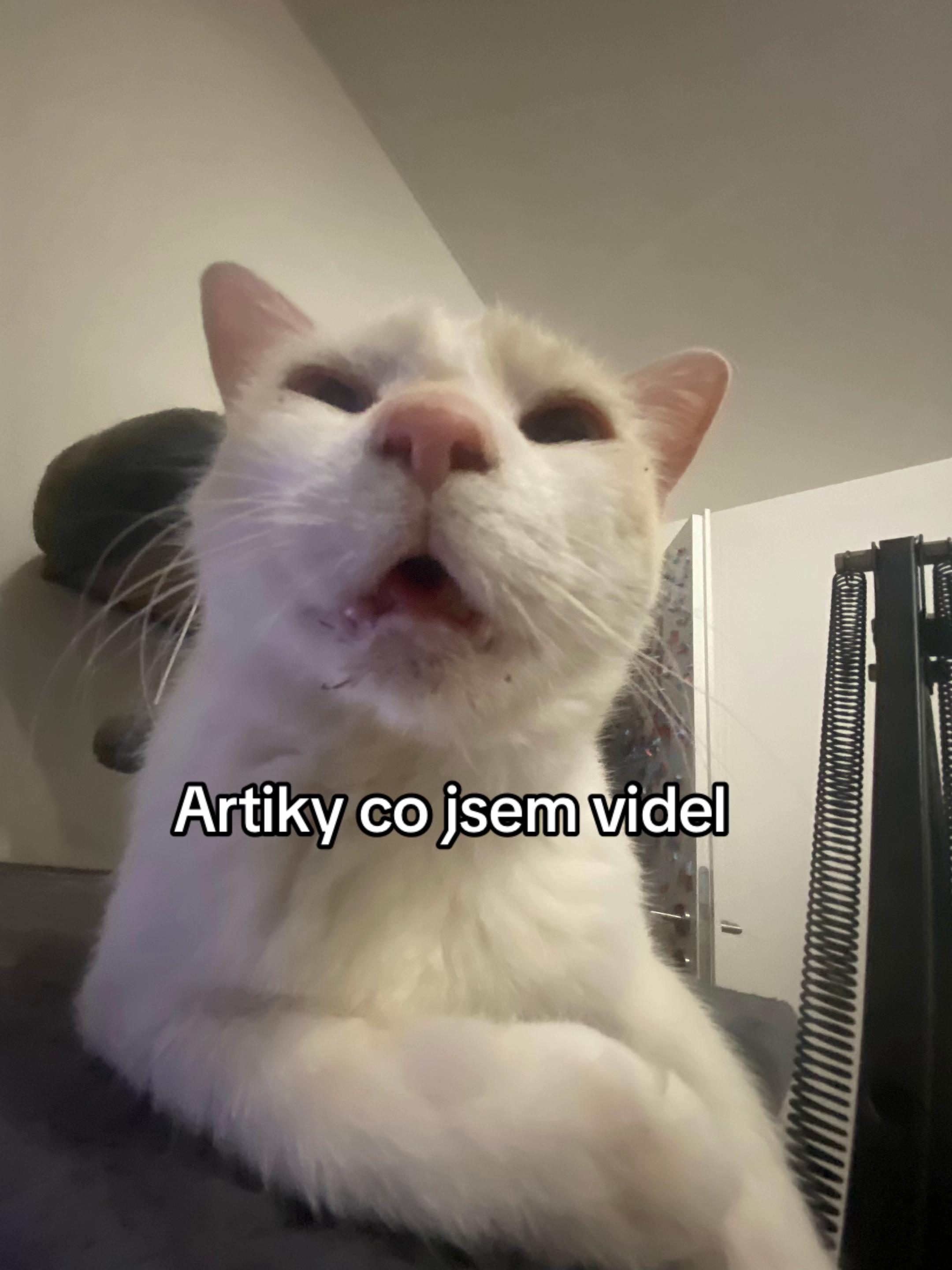 @pesimistickyhipik