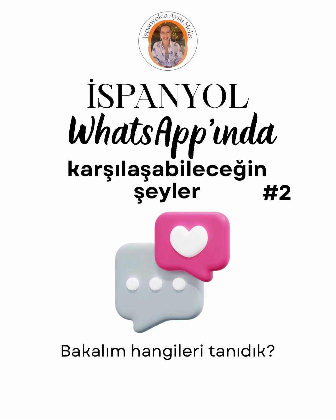 @aysu melis