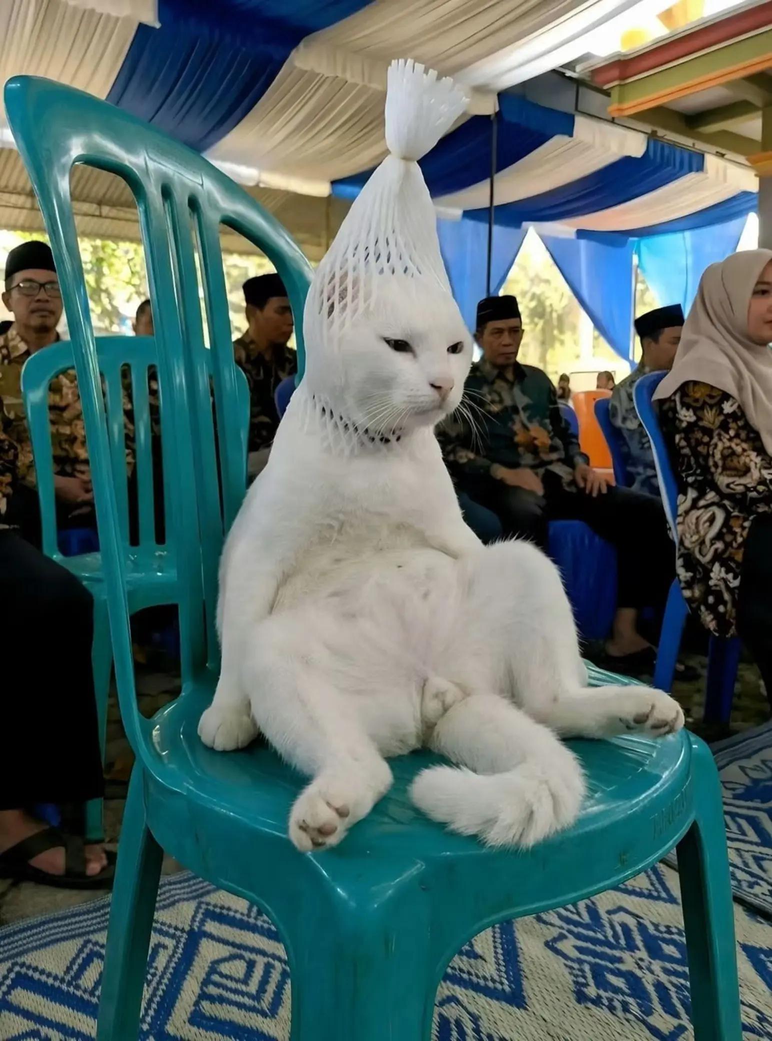 @Nurbani Suarno